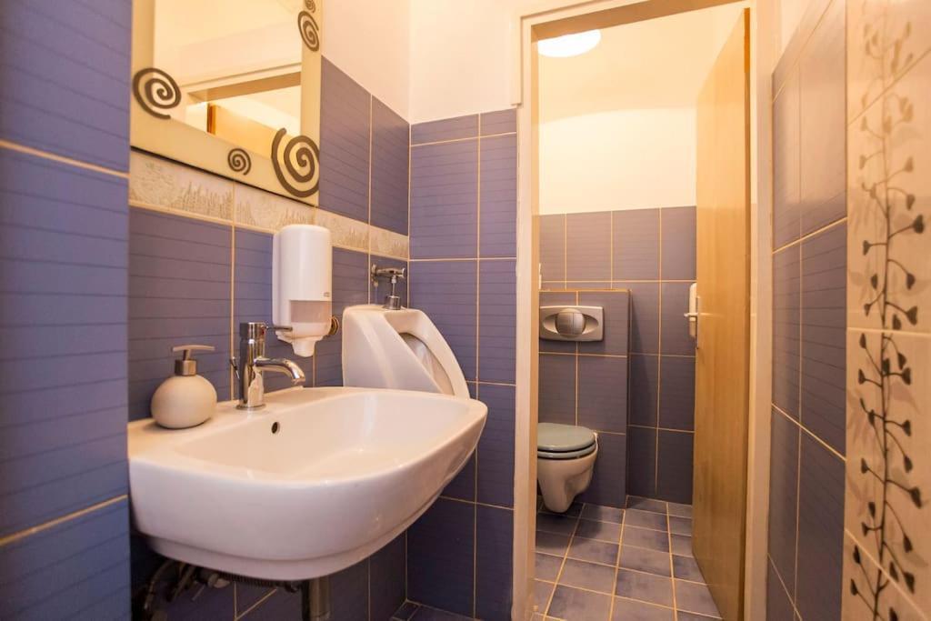 Апартаменты Apartman Den,Rovinj Oaza U Centru Grada I Besplatnim Parkingom Экстерьер фото